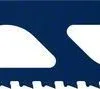 Lame De Scie Sabre Bosch EXPERT Hollow Brick S 2243 HM